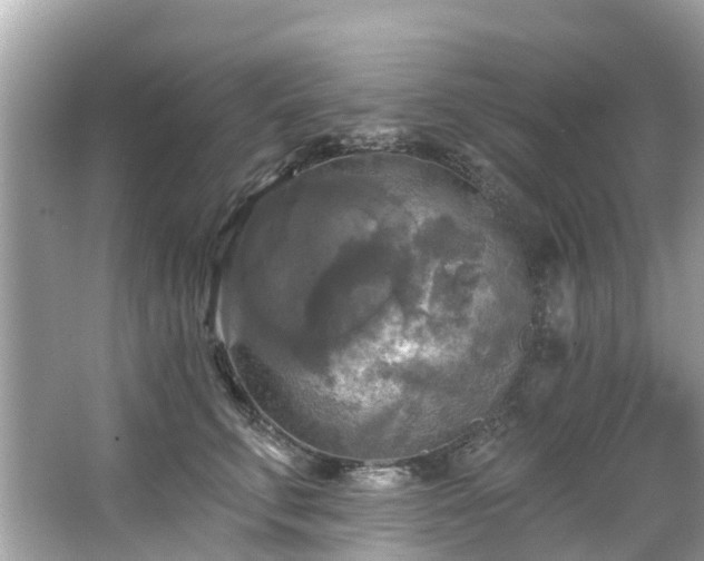 X0000063530711200601231542