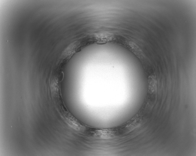 X0000063530713200601231542