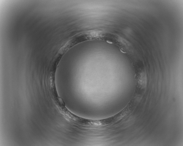 X0000063530715200601231542