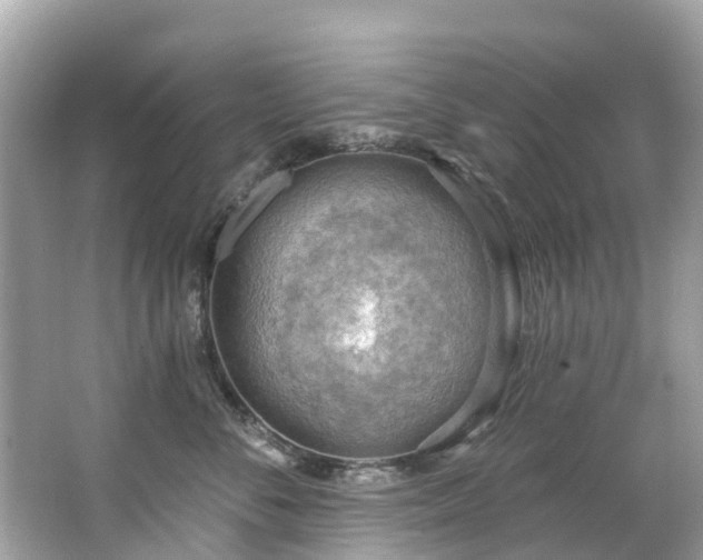 X0000063530716200601231542