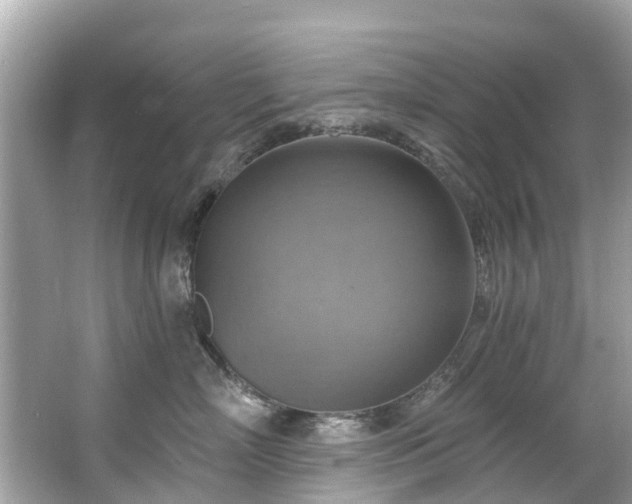 X0000063530718200601231542