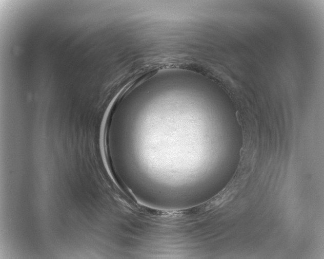 X0000063530720200601231542