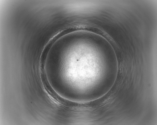 X0000063530722200601231541