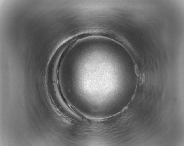 X0000063530724200601231541