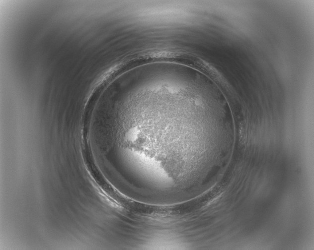 X0000063530725200601231541