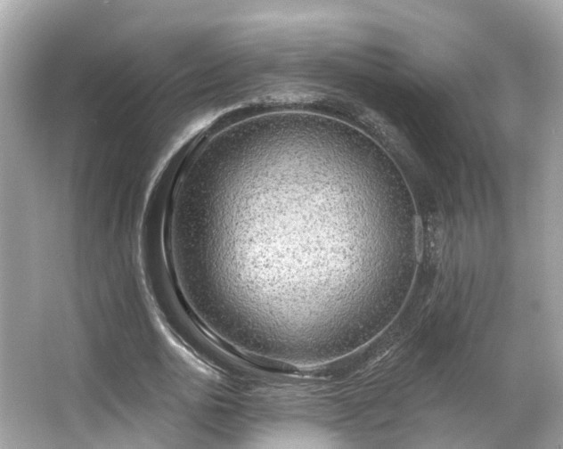 X0000063530726200601231541