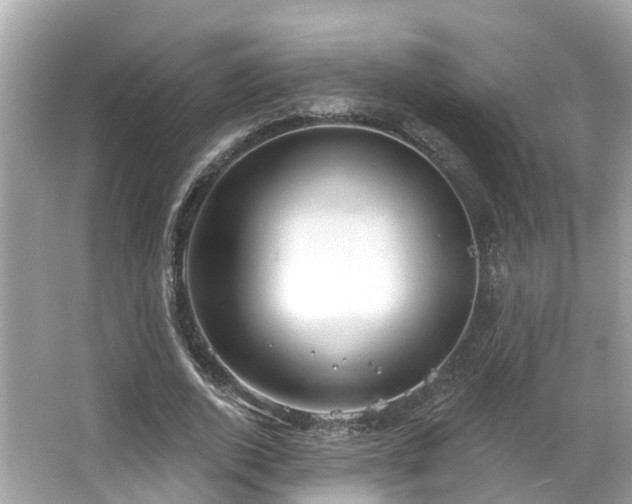 X0000063530728200601231541