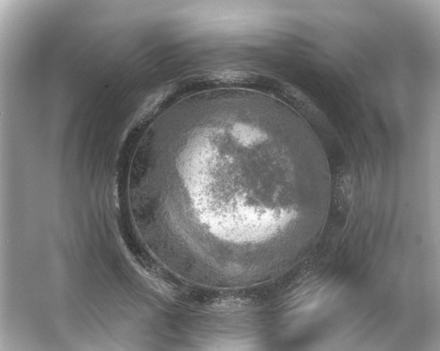 X0000063530734200601231541