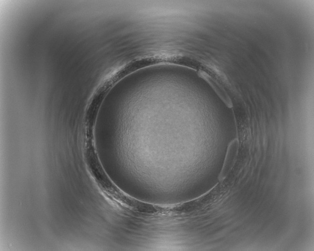 X0000063530736200601231541