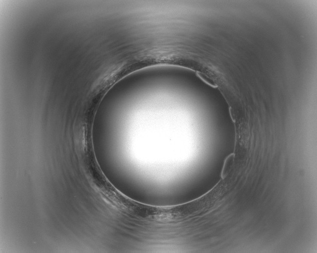 X0000063530740200601231541