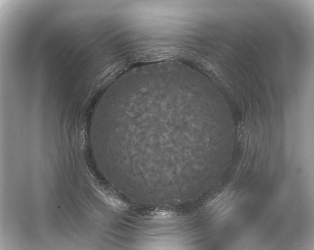 X0000063530741200601231541