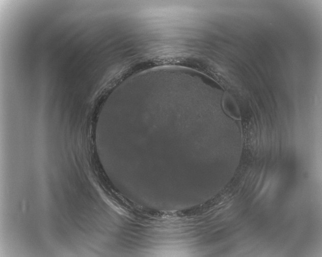 X0000063530742200601231541