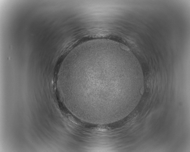 X0000063530743200601231541