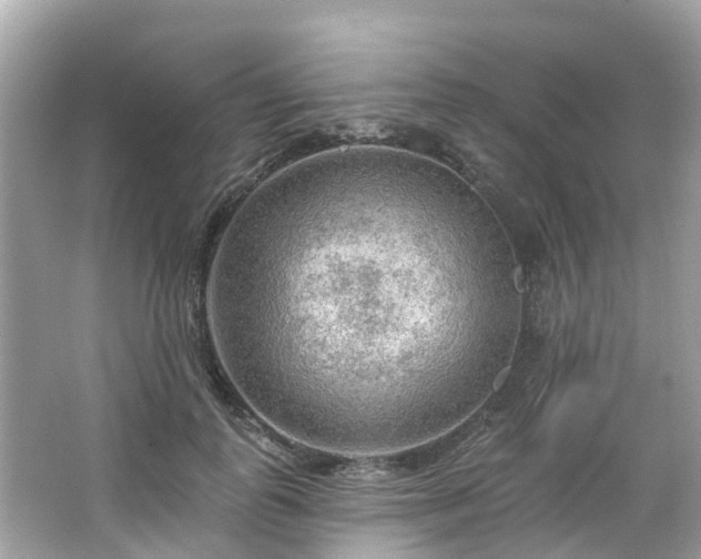 X0000063530747200601231541