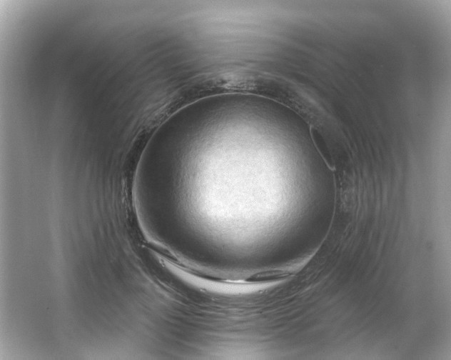 X0000063530748200601231541