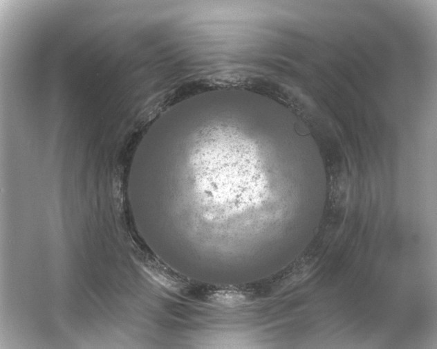 X0000063530749200601231541