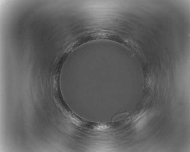 X0000063530759200601231541