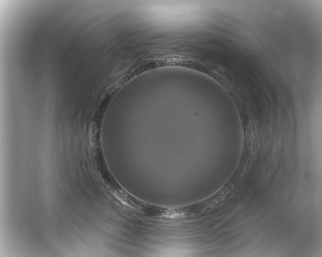 X0000063530760200601231541