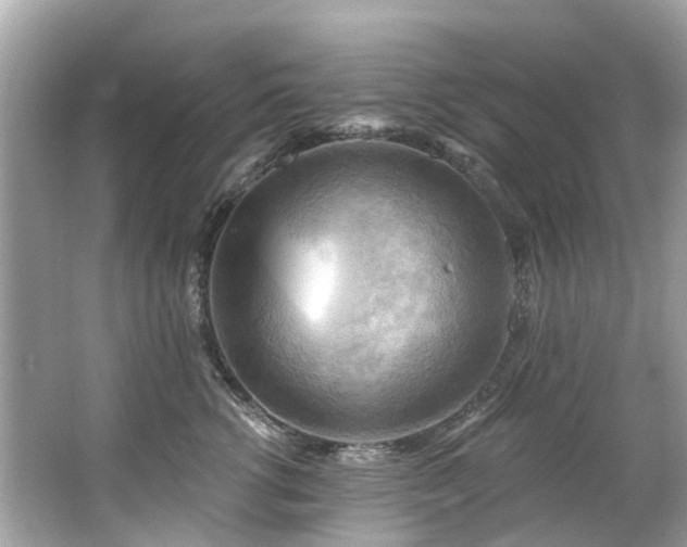 X0000063530762200601231541