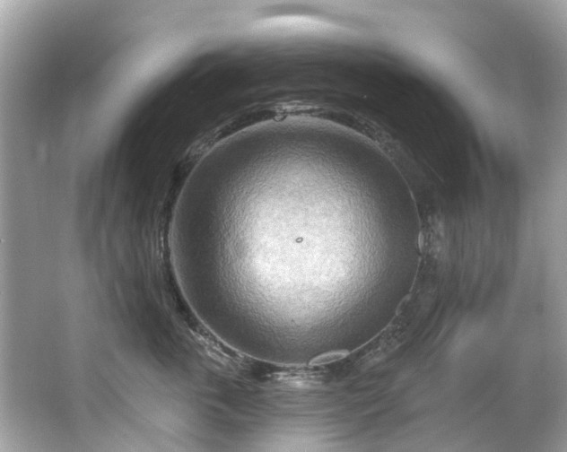 X0000063530763200601231541