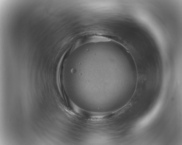 X0000063530766200601231541