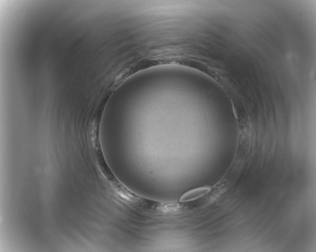 X0000063530767200601231541