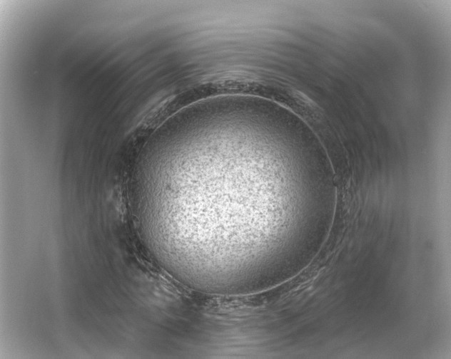 X0000063530774200601231541