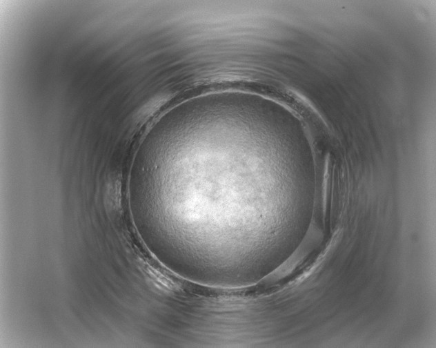 X0000063530777200601231541