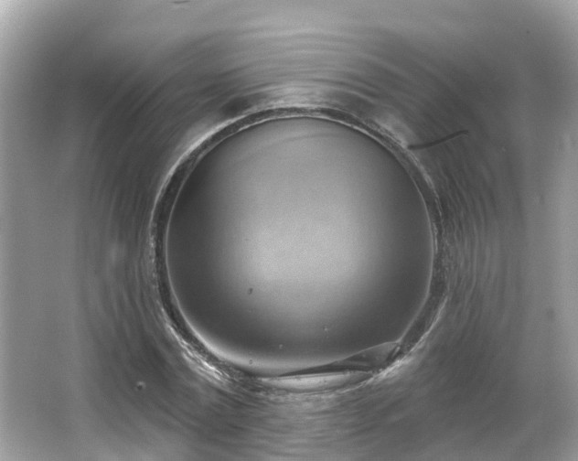 X0000063530779200601231541