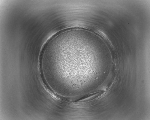 X0000063530780200601231540