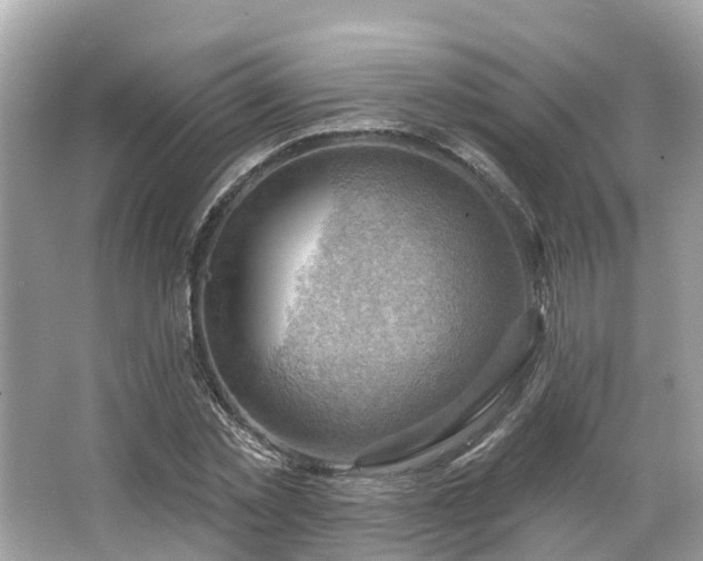 X0000063530781200601231540