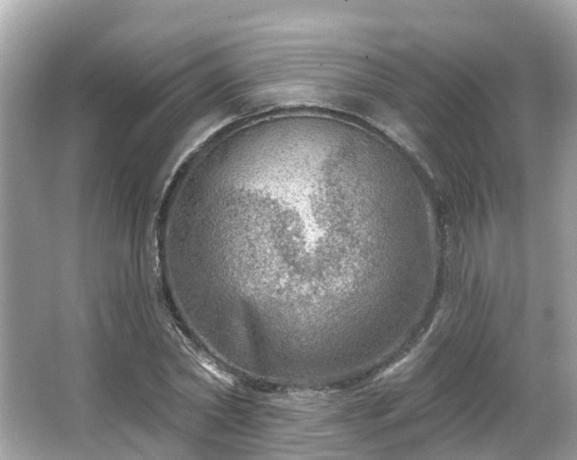 X0000063530782200601231540