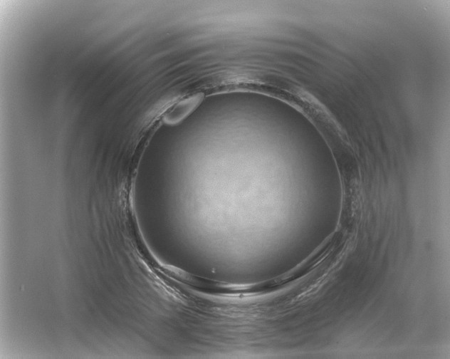 X0000063530785200601231540