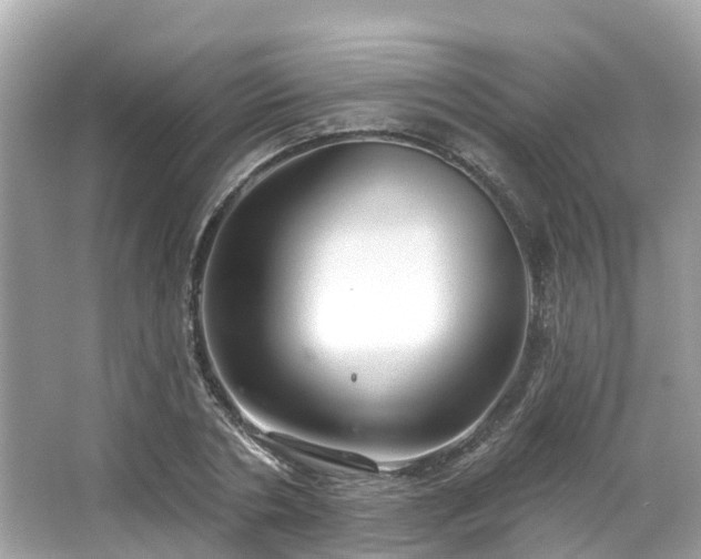 X0000063530786200601231540