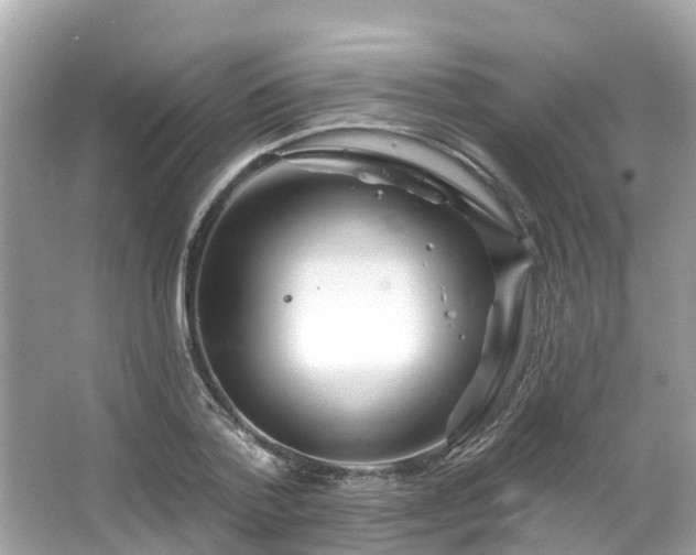 X0000063530788200601231540