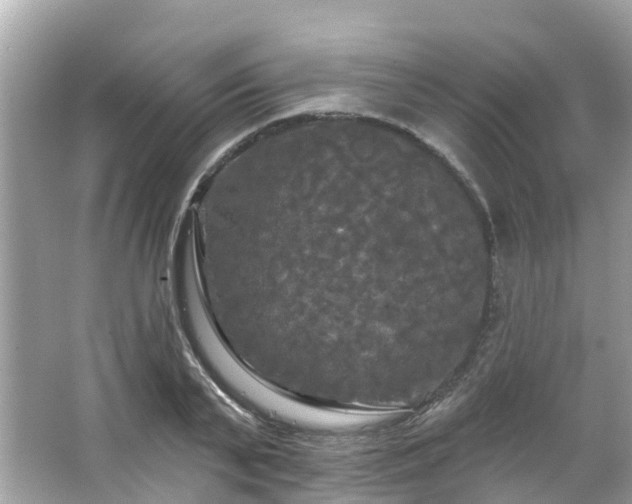 X0000063530791200601231540