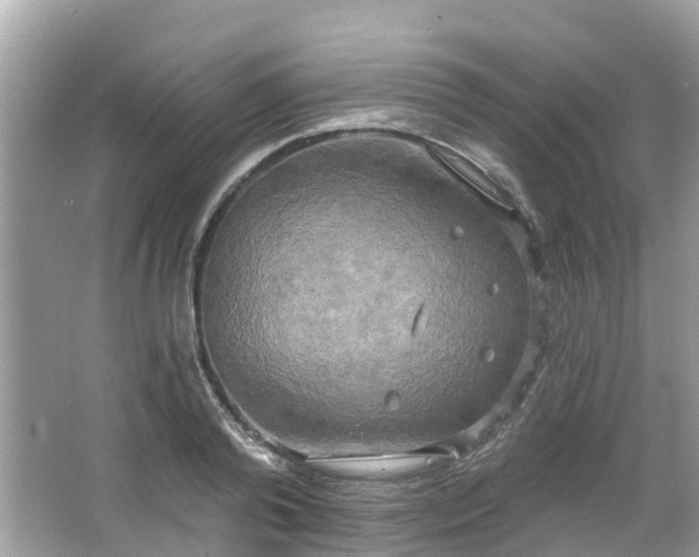 X0000063530792200601231540