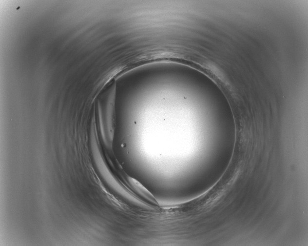 X0000063530793200601231540