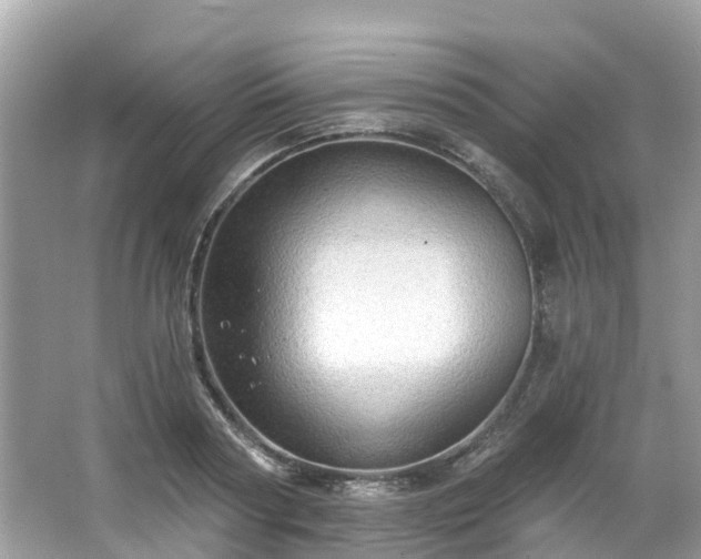 X0000063530794200601231540