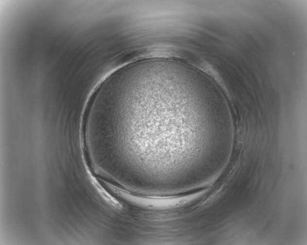 X0000063530795200601231540