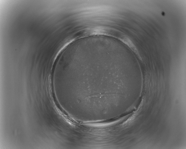 X0000063530798200601231540