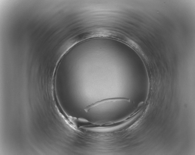 X0000063530802200601231540