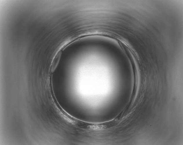 X0000063530805200601231540