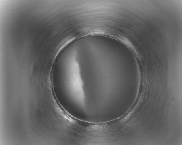 X0000063530806200601231540