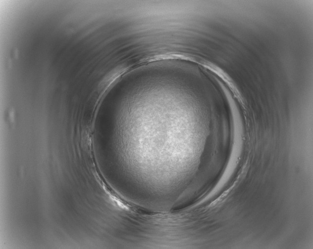 X0000063530809200601231540