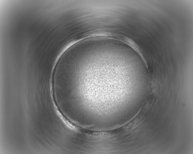 X0000063530811200601231540