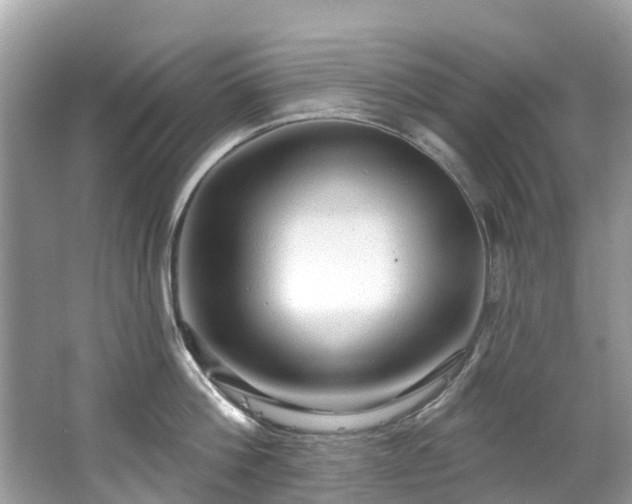 X0000063530812200601231540