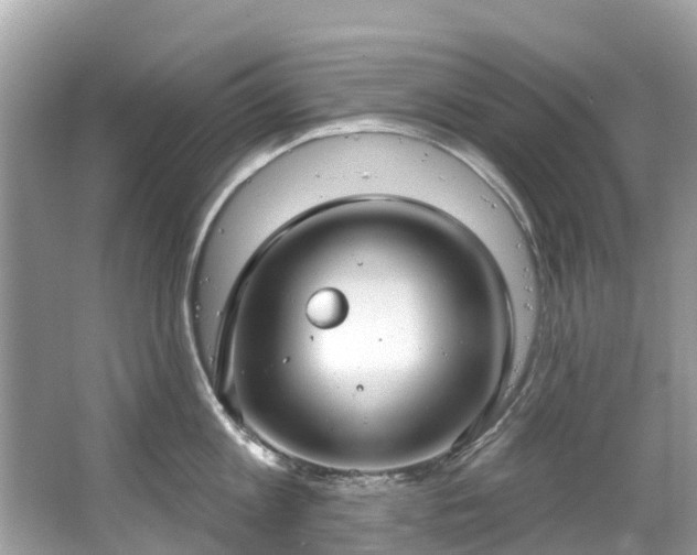 X0000063530813200601231540