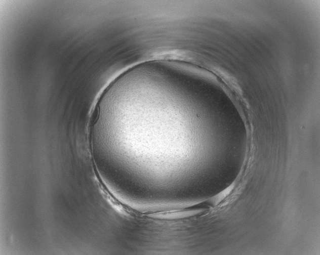 X0000063530816200601231540