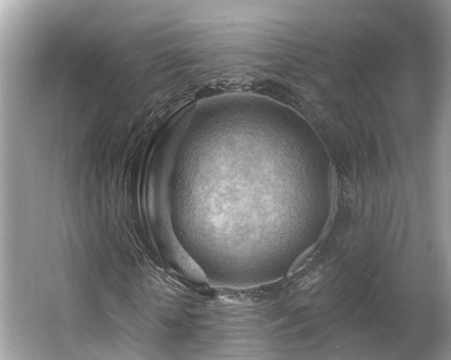 X0000063530818200601231539